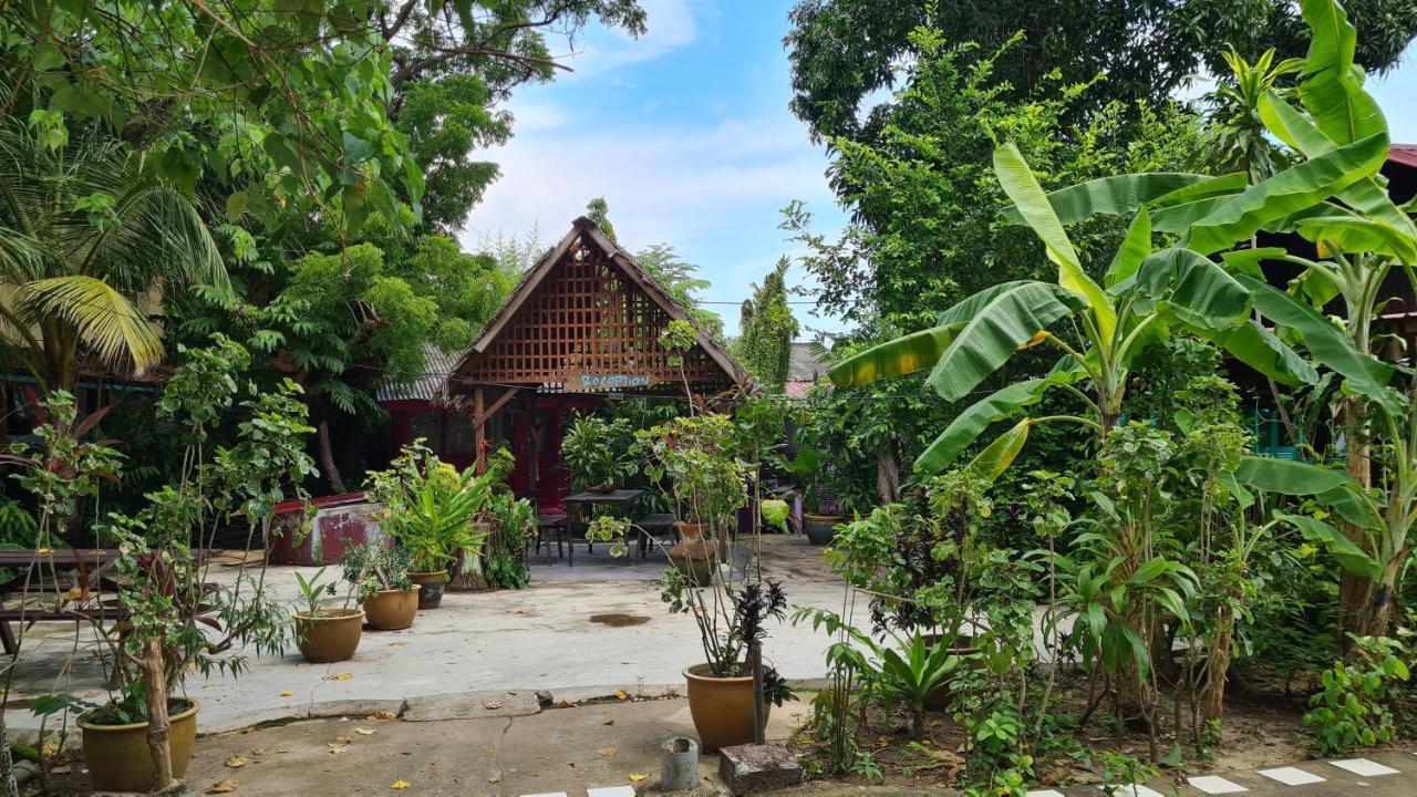 Gecko Guesthouse Pantai Cenang  Extérieur photo