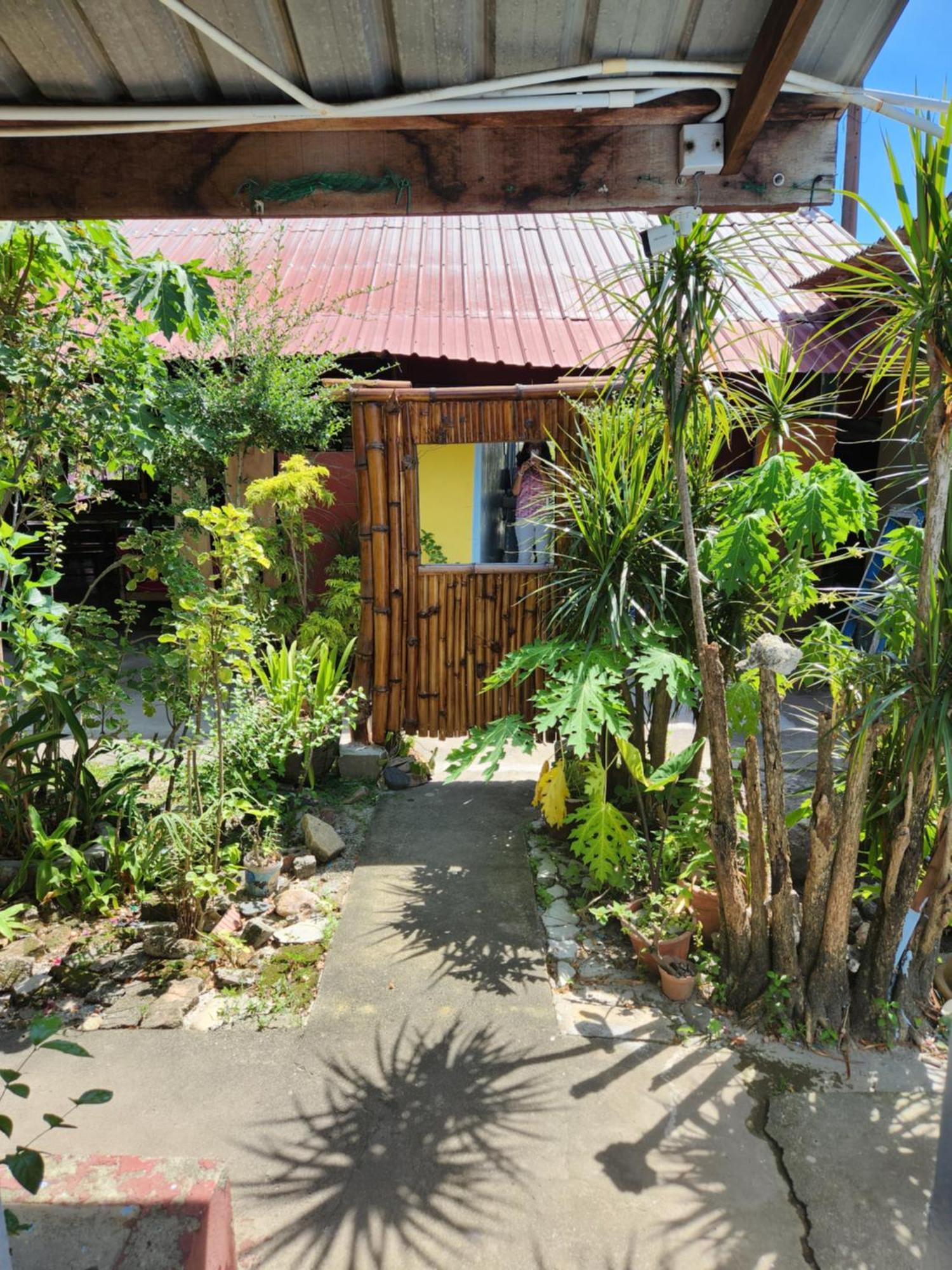 Gecko Guesthouse Pantai Cenang  Extérieur photo